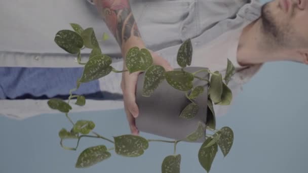 男人拿着一壶植物靠近相机 被淡蓝色背景隔离 高质量的4K镜头 — 图库视频影像