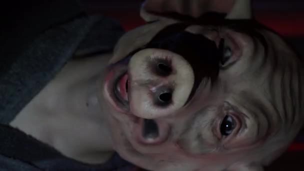 一个带着杀人猪面具的变态男人在红幕的房间里高质量的4K镜头 — 图库视频影像