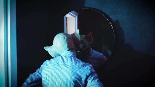 Испуганный Мужчина Надевает Маску Пига Выпрямляет Рубашку Перед Зеркальным Осветителем — стоковое видео