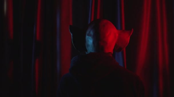 Šílenec Vražednou Prasečí Maskou Místnosti Červenou Záclonou Vysoce Kvalitní Záběry — Stock video