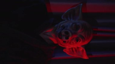 Karanlık kırmızı odada korkunç domuz maskeli tehlikeli bir zombi. Işıkları dikey gösteren bir video. Yüksek kalite 4k görüntü