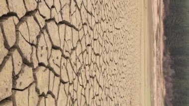  consequences of global warming vertical video of cracked earth . High quality FullHD footage