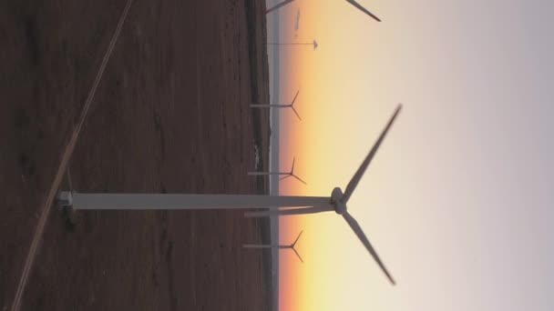 Aerial View Large Field Wind Turbines Black Sea Bulgaria Vertical — Stock videók