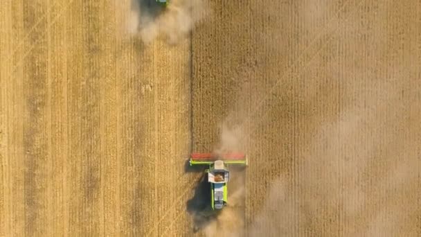 Wheat Harvest Harvest Wheat Farm Bulgaria Aptured Drone High Quality — Stockvideo