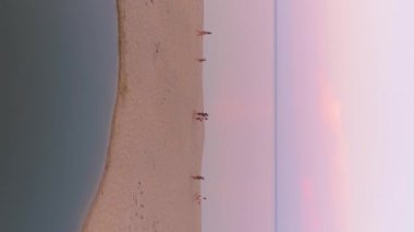 vertical video of people walking on sand beach sunset aerial video. High quality FullHD footage