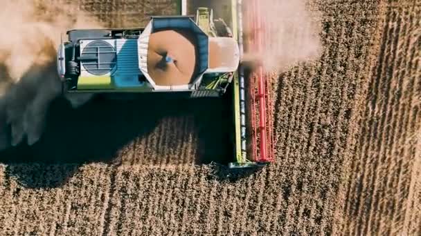 Vertical Video Harvest Wheat Farm Bulgaria Captured Drone High Quality — Stock videók