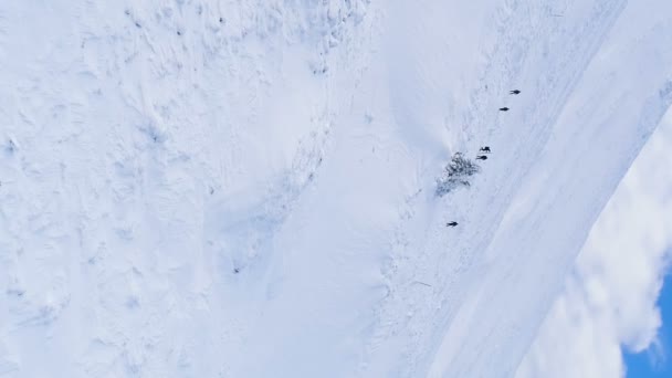背景に雪の背景を持つ山の上にハイカーの空中ビュー 極端なハイキング冬のレクリエーション 高品質のフルHd映像 — ストック動画