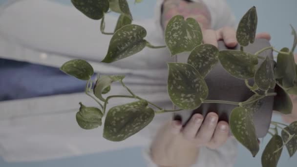 Close Vertical Video Holding Green Houseplant Grey Pot His Hands — Stock video