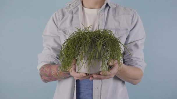 Man Holding Houseplant Font Camera His Hands Studio Background Isolated — Stockvideo