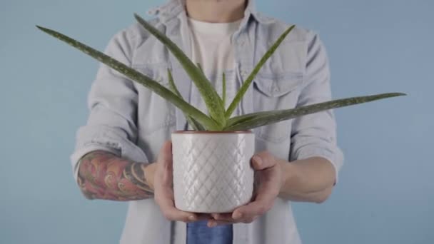 Man Holding Aloe Vera White Pot His Hands Close Camera — Stock video