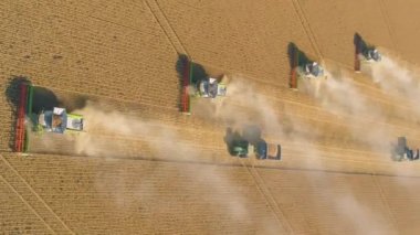 cinematic Vertical video of Combine Harvesters Harvesting Wheat Crop In cultivated land . High quality FullHD footage