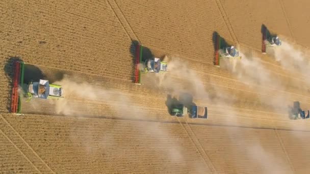 Filmisk Lodret Video Kombiner Høstmaskiner Høst Hvede Crop Dyrket Jord – Stock-video