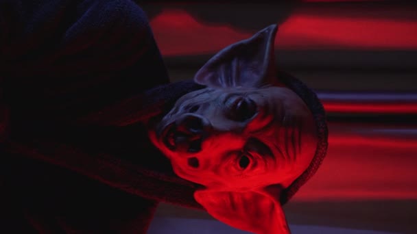 Vertical Video Crazy Man Pig Mask Shaking Head Back Forthin — Vídeos de Stock