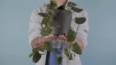 white man With his hands close to the camera, a man holds a green houseplant in a gray pot in studio. High quality 4k footage