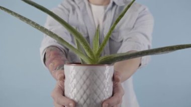 man hands you a aloe vera flower in studio background. High quality 4k footage