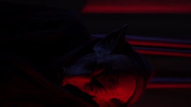 Madness in the Red Room, This stock footage features a crazy man wearing a pig mask shaking his head back and forth in front of red curtains. The title evokes a sense of insanity and chaos, setting