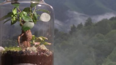 Dünya Günü kavanozdaki ekosistemi kapattı, iklim değişikliğiyle savaşmak ve gezegenimizi korumak için acilen harekete geçilmesi gerektiğiyle ilgili farkındalığı artırdı. Yüksek kalite 4k görüntü