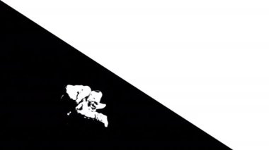 Break dansçının metin için fotokopi aletiyle numara yaptığı siyah beyaz animasyon. Yüksek kalite 4k görüntü