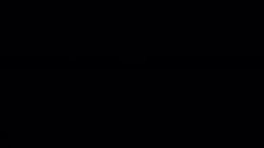 Şeffaf bir zemin üzerine düşen sonbahar akçaağaç yaprağının kusursuz bir animasyonu, geçişler için mükemmel. Bu zarif görüntü sonbaharın özünü yakalar ve projelerinize sezonluk bir dokunuş ekler..