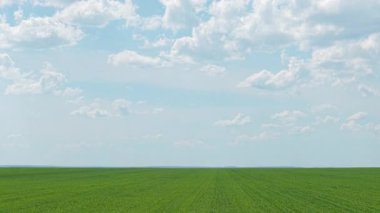 İlkbaharda yayınlanan bu drone görüntülerinde Bulgaristan 'ın kırsal kesiminin geniş ve huzurlu tarım manzarası görülüyor. Sonsuz yeşil buğday tarlaları güzel mavi gökyüzünün altında kırsal alana yayılıyor.