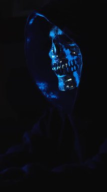 Karanlık web 'de saklı özel çevrimiçi toplulukları keşfeden bir hacker. Çevrimiçi dolandırıcılık, veri sızıntıları ve kimlik sömürüsü gibi konuları öne sürüyor.
