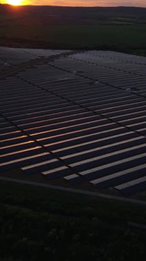 Bulgaristan 'ın Yeşil Enerji ve Çevresel Sürdürülebilirlik ve Yumuşak Akşam Işığıyla Güneş Panellerinin dikey Çekimi. Yüksek kaliteli FullHD görüntüler