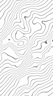 Soyut arka plan dikey animasyonu, 4K, beyaz arkaplanda hareket eden ince gri çizgiler, sıvı simülasyon