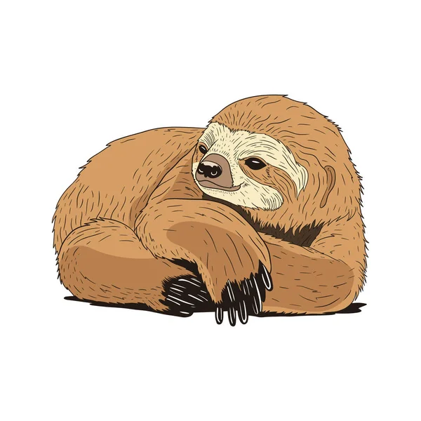 Sloth Illustration Deitado Chão Com Preguiçoso Vetor — Vetor de Stock