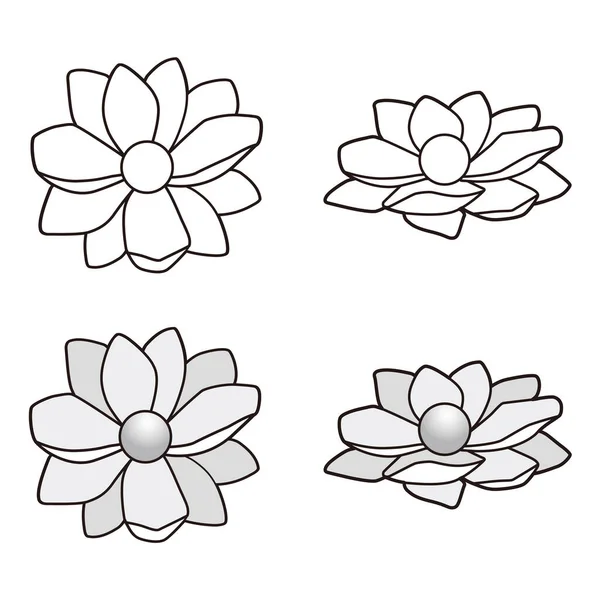 花和叶子标识的矢量图解 网状花序和花序符号集 — 图库照片