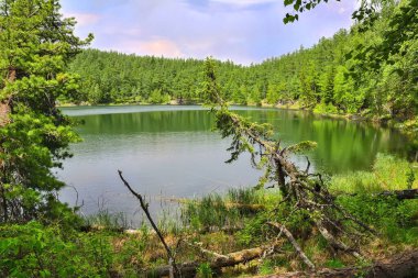 Yoğun kozalaklı ormandaki zümrüt dağ gölünün kıyısında yaz manzarası. Harika yaz manzarası. Vahşi doğanın peri masalı.