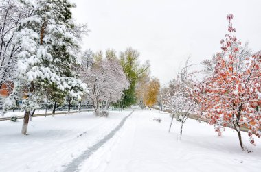 İlk kar yağışından sonra şehir manzarası. Tüylü karla kaplı kırmızı, altın ve yeşil yapraklı ağaçlar arasında dar bir patika var. Meteoroloji kavramı, mevsimlerin değişimi