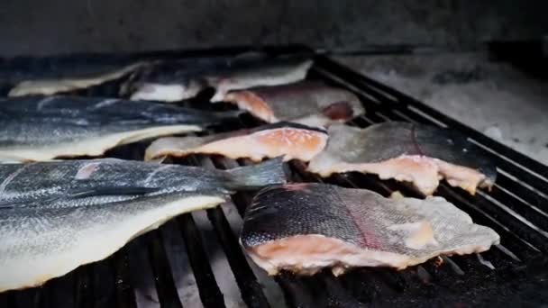 물고기 물고기 물고기 레스토랑 — 비디오