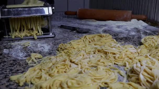Fettuccine Alfredo Fettuccine Pasta Parmesan Chear Food Handmade Pasta — стоковое видео