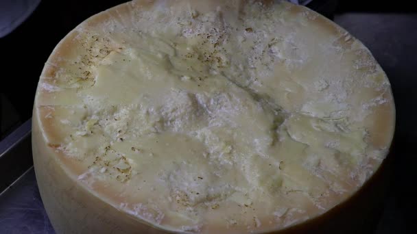 Fettuccine Alfredo Fettuccine Pasta Parmesan Cheese Italian Food Handmade Pasta — Stock Video