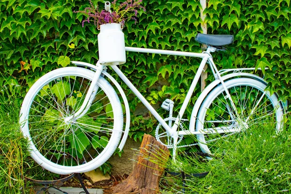 White Bicycle Garden Decoration Pelargonium Pots White Bike Pelargonium Pot — Stock Photo, Image