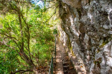 Levada do Rei Hike, Madeira Adası, King Water Channel yürüyüşü. Yüksek kalite fotoğraf