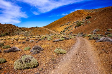 Las Canadas Ulusal Parkı 'na seyahat, Pico del Teide, Tenerife. Yüksek kalite fotoğraf