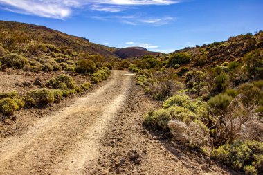 Las Canadas Ulusal Parkı 'na seyahat, Pico del Teide, Tenerife. Yüksek kalite fotoğraf