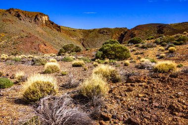 Las Canadas Ulusal Parkı 'na seyahat, Pico del Teide, Tenerife. Yüksek kalite fotoğraf