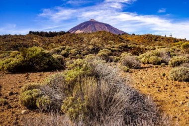 Las Canadas Ulusal Parkı 'na seyahat, Pico del Teide, Tenerife. Yüksek kalite fotoğraf