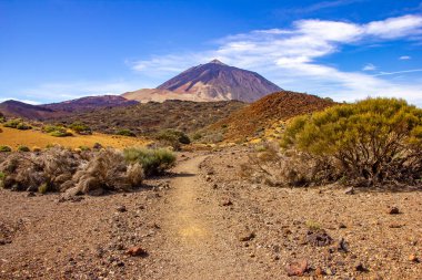 Las Canadas Ulusal Parkı 'na seyahat, Pico del Teide, Tenerife. Yüksek kalite fotoğraf