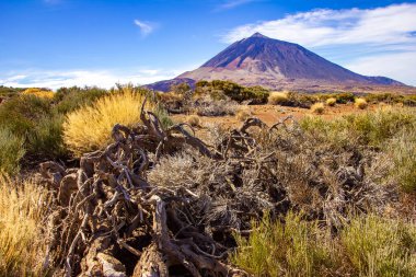 Trek through Las Canadas National park, Pico del Teide, Tenerife. High quality photo clipart