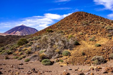 Las Canadas Ulusal Parkı 'na seyahat, Pico del Teide, Tenerife. Yüksek kalite fotoğraf