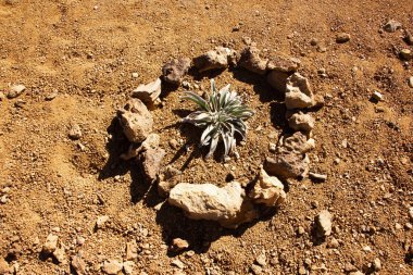 Doğa Spains Teide Ulusal Parkı, Tenerife 'nin kalbinde harikalar yaratır. Las Canadas yürüyüşünden panoramik görüntüler volkanik oluşumlar ve el değmemiş gökyüzü.