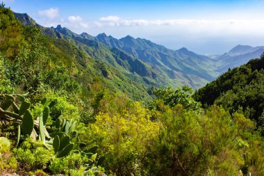 Kuzey Tenerife 'deki Anaga Dağları' nın taze yeşil güzelliğini yansıtan, hayranlık uyandıran bir manzara..