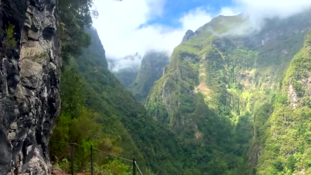 Lenyűgöző Panoráma Bemutatja Buja Zöld Hegycsúcsok Madeira Mint Látható Híres — Stock videók