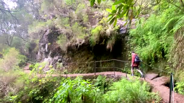 一个带着小背包的游客在一个下雨天沿着茂盛的绿色山边大道走着 这些房子分散在山谷中 Levada 是葡萄牙马德拉特有的灌溉或渡槽道 — 图库视频影像