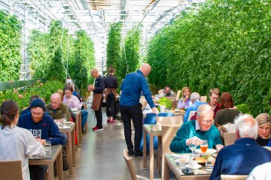 Fridheimar ziyaretçileri, genişleyen bir sera ortamında geçen olağanüstü bir tarım ve gastronomi ortakyaşamına davet ediyor. Bu eşsiz varış yeri güçlü bir domates çiftliğiyle evleniyor.