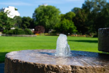 Parktaki taş zeminde küçük bir çeşme var. Önplana odaklan.