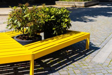 Yaya bölgesinde dekoratif bitkilerle dolu parlak sarı ahşap bir bank. Açık güneşli gün.